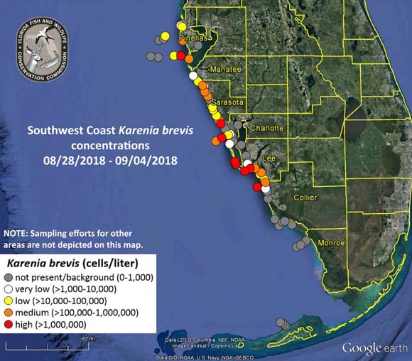 2018 Florida Red Tide