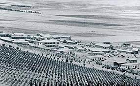 2023-2024 Middle East, Palestine/Israel-Hamas Conflict