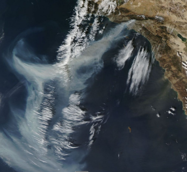 2025 January Fires of California: Los Angeles