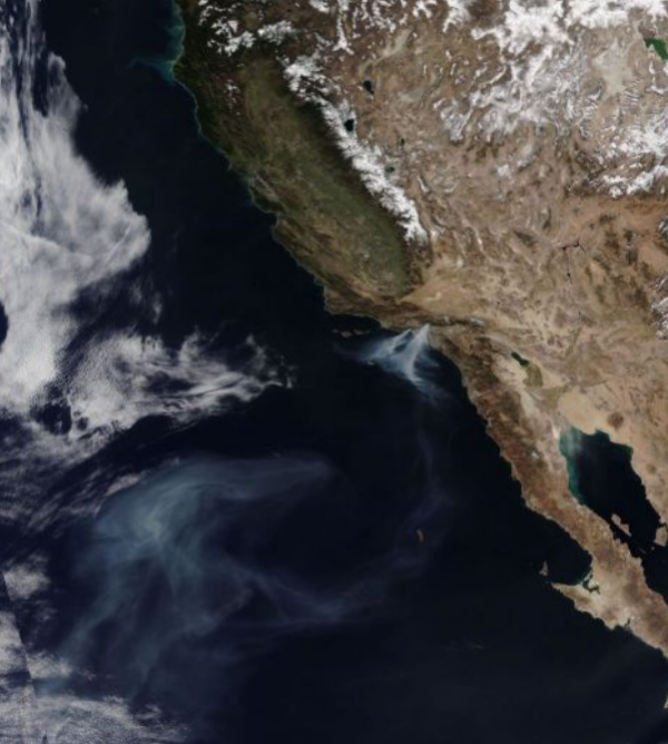 2025 January Fires of California: Los Angeles